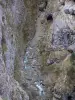 Défilé des Étroits - Gorge : rivière bordée de parois rocheuses ; dans le Dévoluy