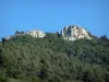 Dentelles de Montmirail - Arbres et roche du massif