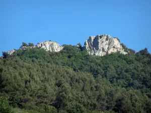 Dentelles de Montmirail - Arbres et roche du massif