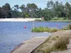 Departementaal landgoed van Hostens - Meer, strand en dennenbos gebied van natuur in het Regionaal Natuurpark van de Landes de Gascogne