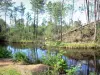 Departementaal landgoed van Hostens - Met bomen omzoomde meer ; in het Regionaal Natuurpark van de Landes de Gascogne