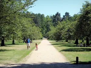 Departementaal landgoed van Sceaux - Loopbrug omgeven door bomen