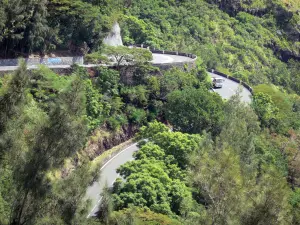 Departementale weg Route de La Montagne - Kronkelige weg bekleed met groen