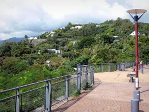 Departementale weg Route de La Montagne - Uitzicht op de huizen van de Hauts de Saint-Denis in een groen kader