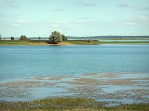 Der-Chantecoq lake - Lake (artificial lake), shores, trees