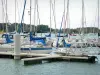 Der-Chantecoq lake - Sailboats of the marina of Nemours