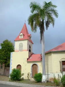 La Désirade - Torenspits van de kerk en de royal palm Beauséjour