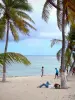 La Désirade - Fifi beach and its coconut trees overlooking the lagoon