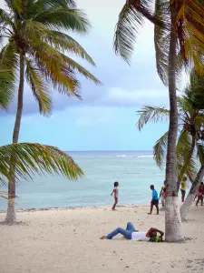 La Désirade - Pippi strand en palmbomen met uitzicht op de lagune