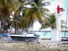 La Désirade - Coconut trees and boats of the Beauséjour port