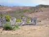 La Désirade - Remains of the former cotton mill