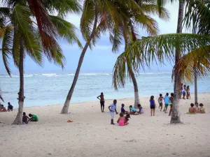 La Désirade - Los niños en la sombra de grupo cocoteros playa Fifi