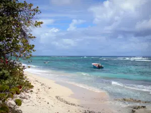 La Désirade - Raisinier, fijn zand en turquoise wateren van de Atlantische Oceaan