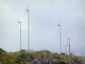 La Désirade - Windmolens gelegen op het plateau van de berg