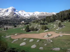 Dévoluy mountain range - Stones heap, prairies, spruces, chalets and mountains snowy tops (snow)