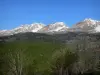 Dévoluy mountain range - Trees, forest and mountains with snowy tops (snow)