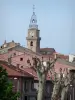 Digne-les-Bains - Klokkentoren en de toren van de kathedraal van St. Jerome dominante huizen en platanen (bomen) van de oude stad