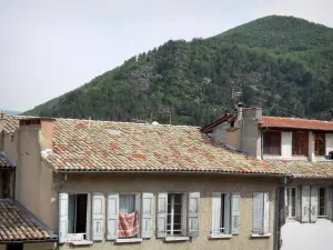 Digne-les-Bains - Häuser und Berg