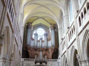 Dijon - Dentro de la catedral de Saint-Bénigne: órgano