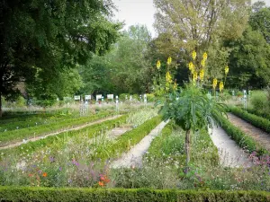 Dijon - Jardín Botánico Parque Arquebuse