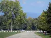 Divonne-les-Bains - Station thermale : promenade avec vue sur les arbres ; dans le Pays de Gex