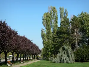 Divonne-les-Bains - Spa: bancos, césped y árboles alrededor del lago, en el Pays de Gex