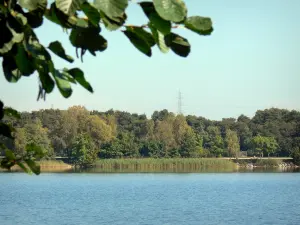 Divonne-les-Bains - Spa: Lake (lago artificial) y su banco de arbolado en el Pays de Gex