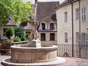 Dole - Brunnen des Platzes Fleurs und Fassaden der Häuser der Altstadt