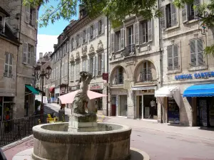 Dole - Fountain of the Fleurs square, houses and shops in the old town