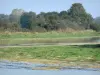 Dombes - Landscape of water and greenery