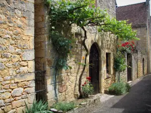 Domme - Stenen huizen met wijnstokken en rozen (rozen), in de Dordogne vallei, in de Perigord