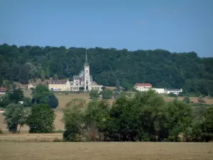 Domrémy-la-Pucelle - Basilique du Bois-Chenu, bâtiments et arbres