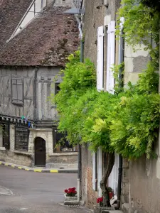 Donzy - Glycine ornant une façade maison du village