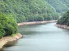 Dordogne-Tal - Fluss Dordogne und seine waldreichen Ufer