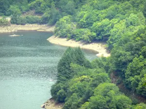 Dordogne upper valley - Trees along the river Dordogne