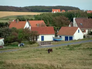 Dorpen van Pas-de-Calais - Beweiding, weg, huizen, bomen, weide en bos