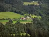 Doubsの風景 - 牧草地と木々に囲まれたシャレー