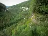 Doubsの風景 - Gouges du Doubs：Doubs川沿いの森（木）と崖（岩壁）