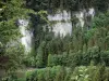Doubsの風景 - Doubs峡谷：崖（岩壁）、木々、川Doubs