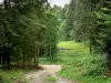 Doubsの風景 - 並木道