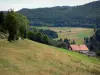 Doubsの風景 - 農場、牧草地、畑、木々や森