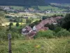 Doubsの風景 - 手前の牧草地の柵、村の家、畑、牧草地、木々