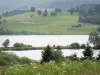 Doubsの風景 - レモレ湖（国立自然保護区）、野生の花、木々や牧草地