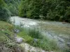 Doubsの風景 - Dessoubre渓谷：樹木が並ぶDessoubre川