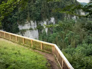 Doubs gorges - Viewpoint with view of cliffs (rock faces) and trees