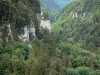 Doubs gorges - Rock faces and forest (trees)