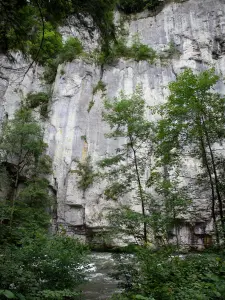 Doubs gorges - Cliff (rock face), the River Doubs and trees