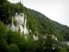 Doubs gorges - Rock faces (cliffs) and trees (forest)