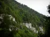 Doubs gorges - Cliff (rock faces) and forest (trees)