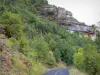 Dourbie gorges - Cliffs overlooking the gorge road lined with trees; in the Grands Causses Regional Nature Park